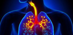 Лечение органов дыхания в Волгограде - Волжская Здравница Лечение бронхита