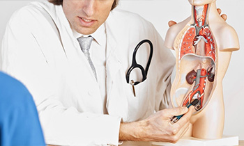 Как избежать трагедии с предстательной железой или формула сохранения мужского здоровья.