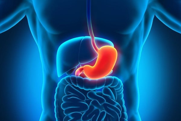 ЗАБОЛЕВАНИЯ ЖЕЛУДОЧНО-КИШЕЧНОГО ТРАКТА